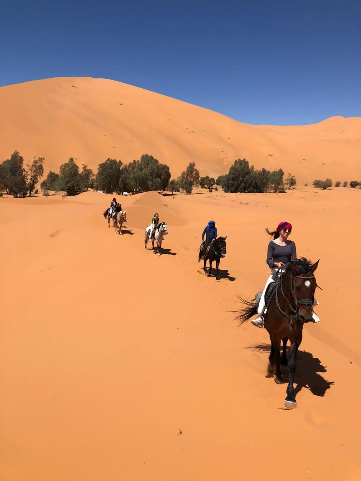 Sahara House Hotell Merzouga Eksteriør bilde